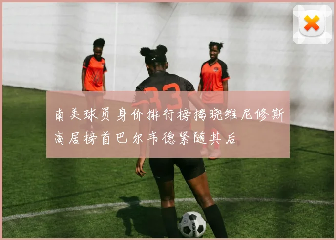 南美球员身价排行榜揭晓维尼修斯高居榜首巴尔韦德紧随其后