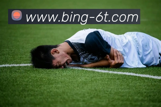 6T体育平台生态图